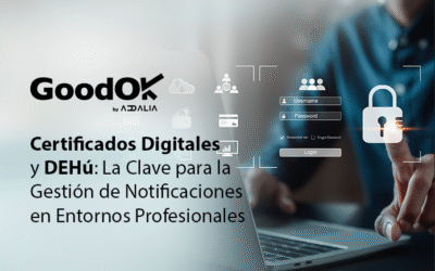 Certificados Digitales y DEHú: La Clave para la Gestión de Notificaciones en Entornos Profesionales